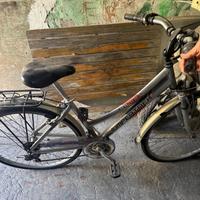 Bicicletta da passeggio alluminio