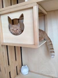 gatti Kat Village 