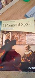 I Promessi Sposi 