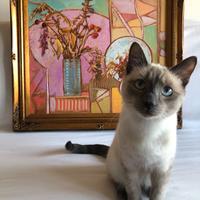 Raffinato quadro di Soligo