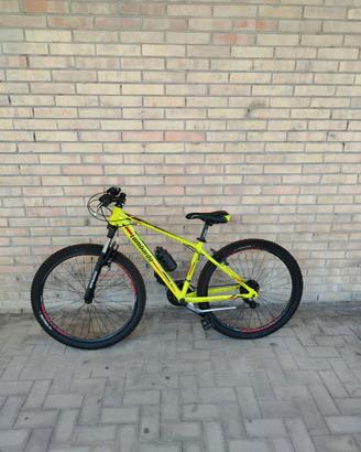 Lombardo Sestier 130 Lime