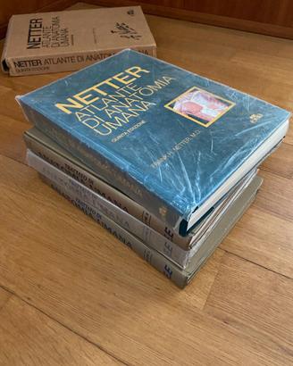 Netter Anatomia umana e atlante di anatomia