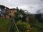 Immagine 7