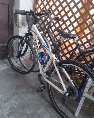 Mountain bike giant 