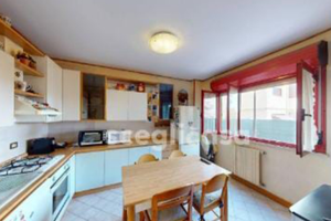 Se cerchi tranquillità un viale Leonardo da vinci