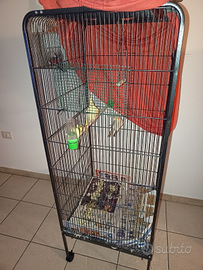 Gabbia per uccelli come nuova
