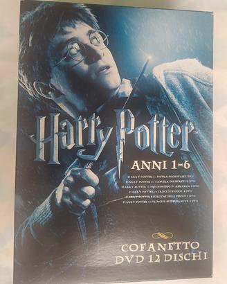 Harry Potter - cofanetto DVD con 12 dischi