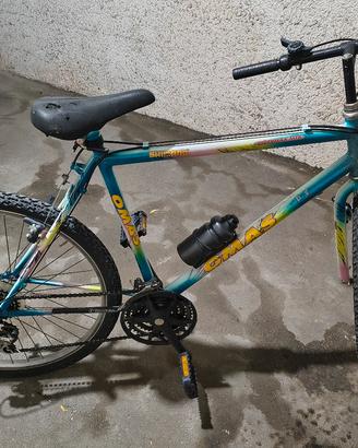 Mountain bike 