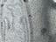 Immagine 13