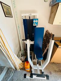 Chest press professionale