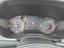 Immagine 11
