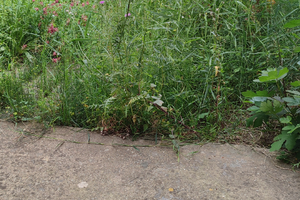 Casa per il mare a Calopezzati marina