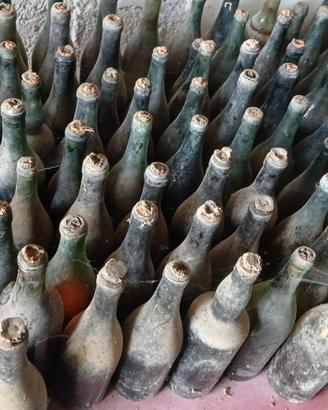 bottiglie di vino