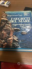 I segreti del mare