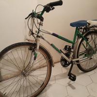 Bicicletta Mountain Bike Vintage di marca Bianchi