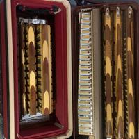 Fisarmonica professionale Quagliardi con Cassotto