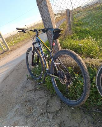 Mtb GT karamoram 29