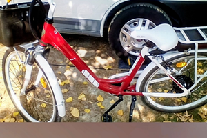 Bicicletta elettrica