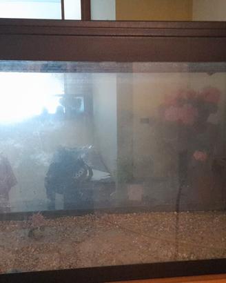acquario con mobile 