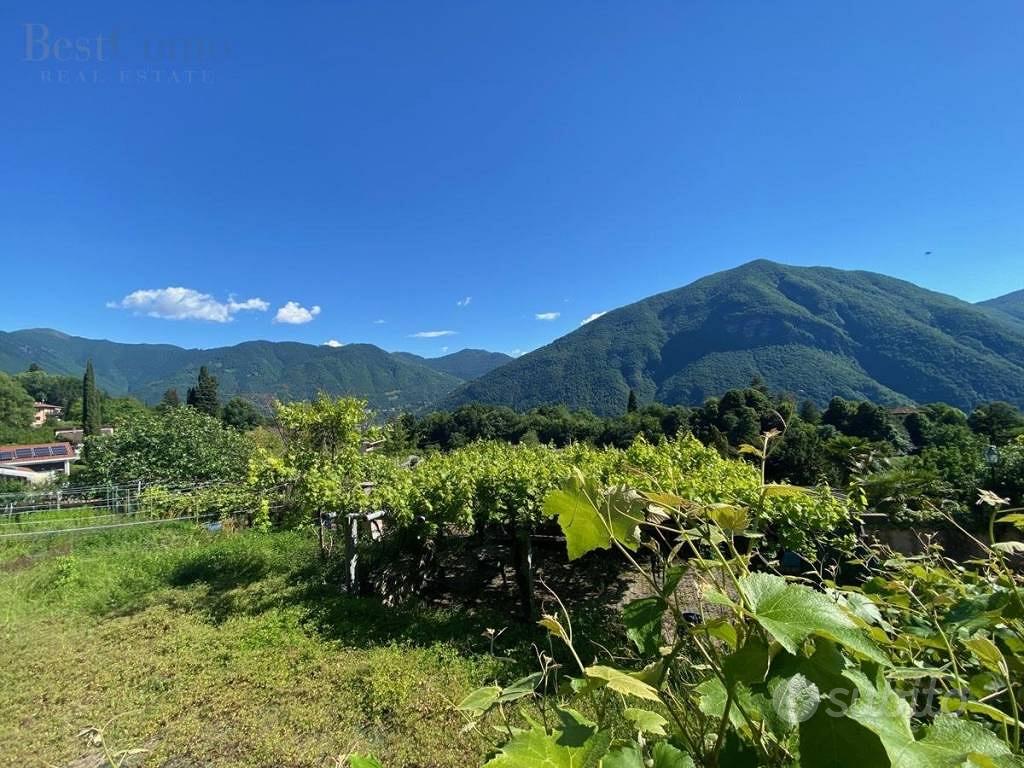 Terreno di 1500 m² a Valsolda - Vista 4
