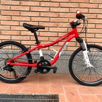 Bici bambino Specialized Hotrock 20”