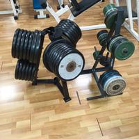 dischi palestra 320 kg