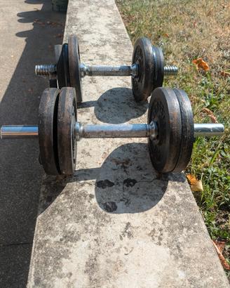 Manubri 10 kg