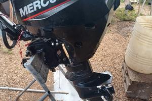 motore mercury 20 cv 