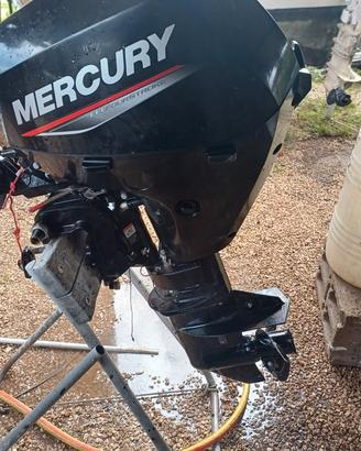 motore mercury 20 cv 