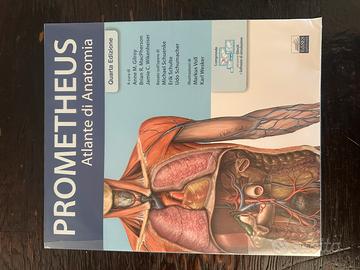 Prometheus Atlante di anatomia