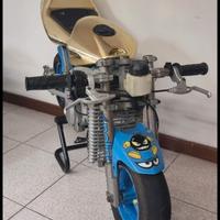 minimoto blata