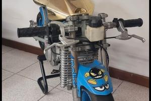 minimoto blata