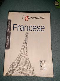 dizionario di francese 