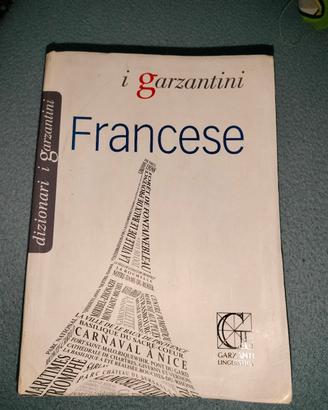dizionario di francese 