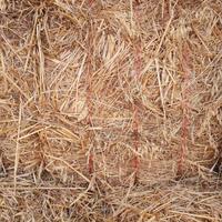 Fieno balle prismatiche di diverse qualità