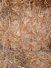 Fieno balle prismatiche di diverse qualità