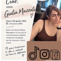 Social media menager