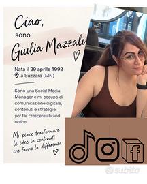 Social media menager