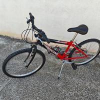 Mountain Bike Vicini 24"