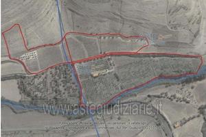 Azienda Agricola Villanovafranca [A4292123]