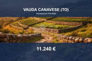 Immobile in asta di 21332 m² a Vauda Canavese