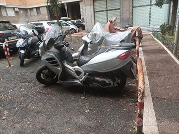 Malagut spidermaxi gt 500