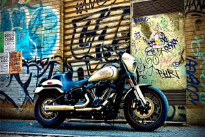 Low Rider S Special