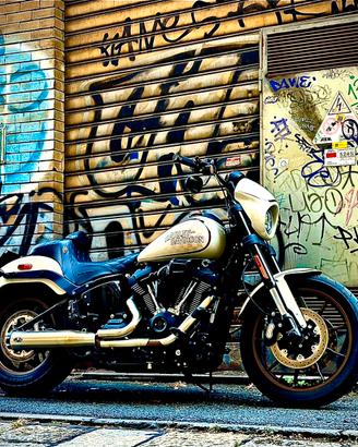 Low Rider S Special