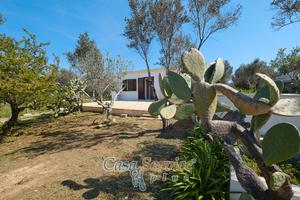 Fabbricato con terreno vista mare