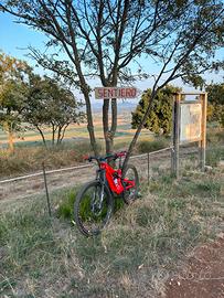 SPECIALIZED TURBO LEVO CARBON