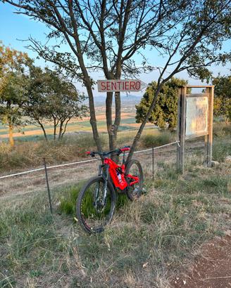 SPECIALIZED TURBO LEVO COMP CARBON