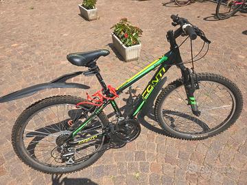 Mountain bike