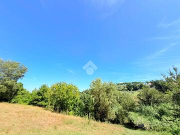 TER. AGRICOLO A STIMIGLIANO