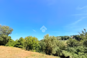 TER. AGRICOLO A STIMIGLIANO